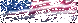 New Found Terror's Flag is: United States